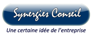 SYNERGIES CONSEIL Versailles, Coach